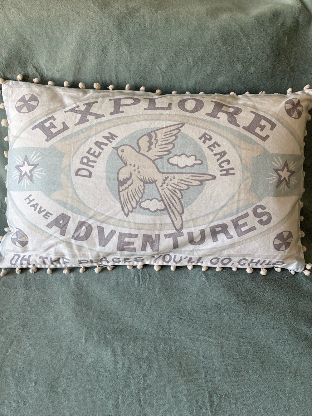 Explore Adventures Decorative Pillow - Cream & Sage